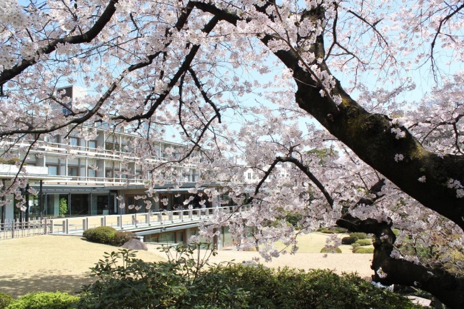 IHJ & AFIHJ Spring Gathering in Boston